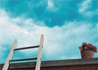 欢迎使用Z-BlogPHP！